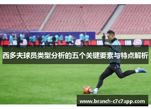 西多夫球员类型分析的五个关键要素与特点解析