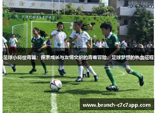 足球小将世青篇：探索成长与友情交织的青春冒险，足球梦想的热血征程