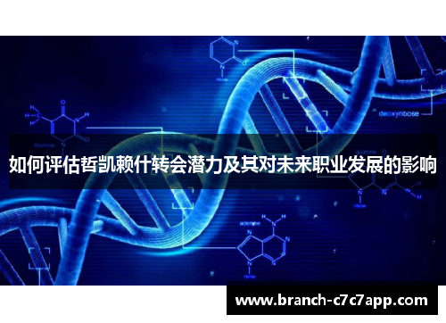 如何评估哲凯赖什转会潜力及其对未来职业发展的影响