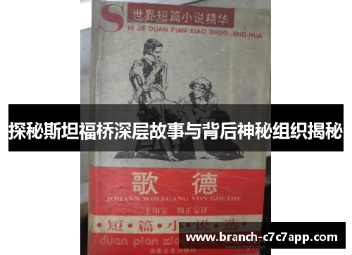 探秘斯坦福桥深层故事与背后神秘组织揭秘