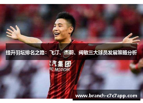 提升羽坛排名之路：飞汀、杰蔚、阀敏三大球员发展策略分析