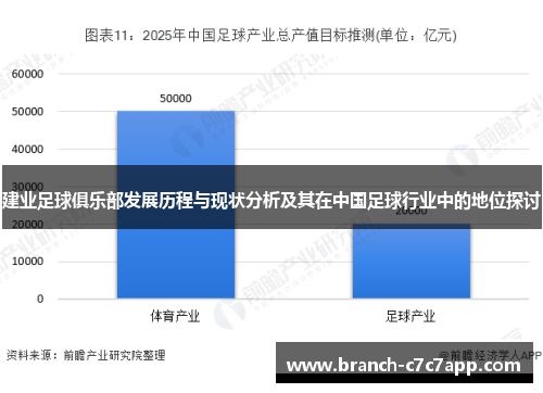 建业足球俱乐部发展历程与现状分析及其在中国足球行业中的地位探讨