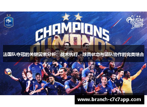 法国队夺冠的关键因素分析：战术执行、球员状态与团队协作的完美结合