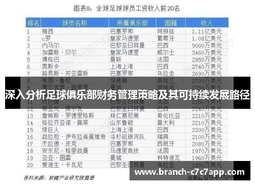 深入分析足球俱乐部财务管理策略及其可持续发展路径 深入分析足球俱乐部财务管理策略及其可持续发展路径
