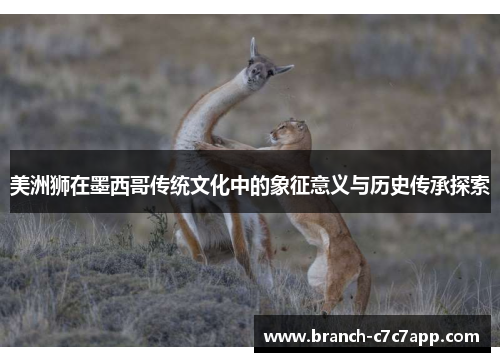 美洲狮在墨西哥传统文化中的象征意义与历史传承探索 美洲狮在墨西哥传统文化中的象征意义与历史传承探索