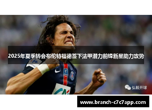 2025年夏季转会布伦特福德签下法甲潜力前锋新星助力攻势 2025年夏季转会布伦特福德签下法甲潜力前锋新星助力攻势