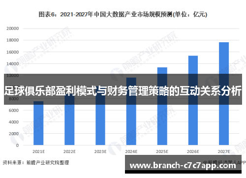 足球俱乐部盈利模式与财务管理策略的互动关系分析 足球俱乐部盈利模式与财务管理策略的互动关系分析