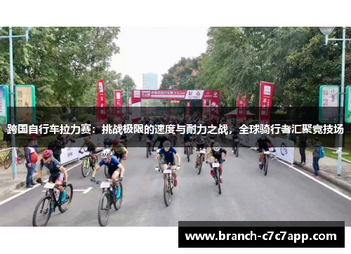 跨国自行车拉力赛:挑战极限的速度与耐力之战,全球骑行者汇聚竞技场 跨国自行车拉力赛:挑战极限的速度与耐力之战,全球骑行者汇聚竞技场